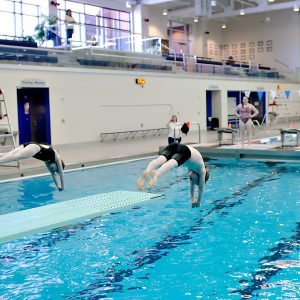 Learn to Dive